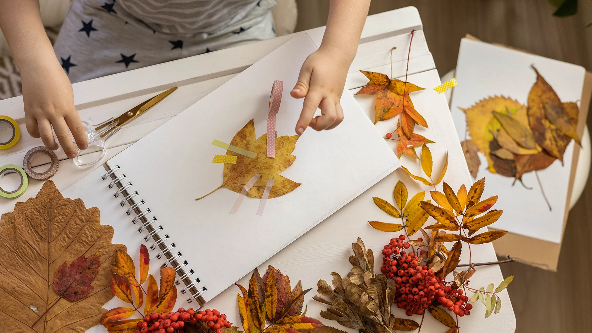 Monarca Montessori - Learning Environment