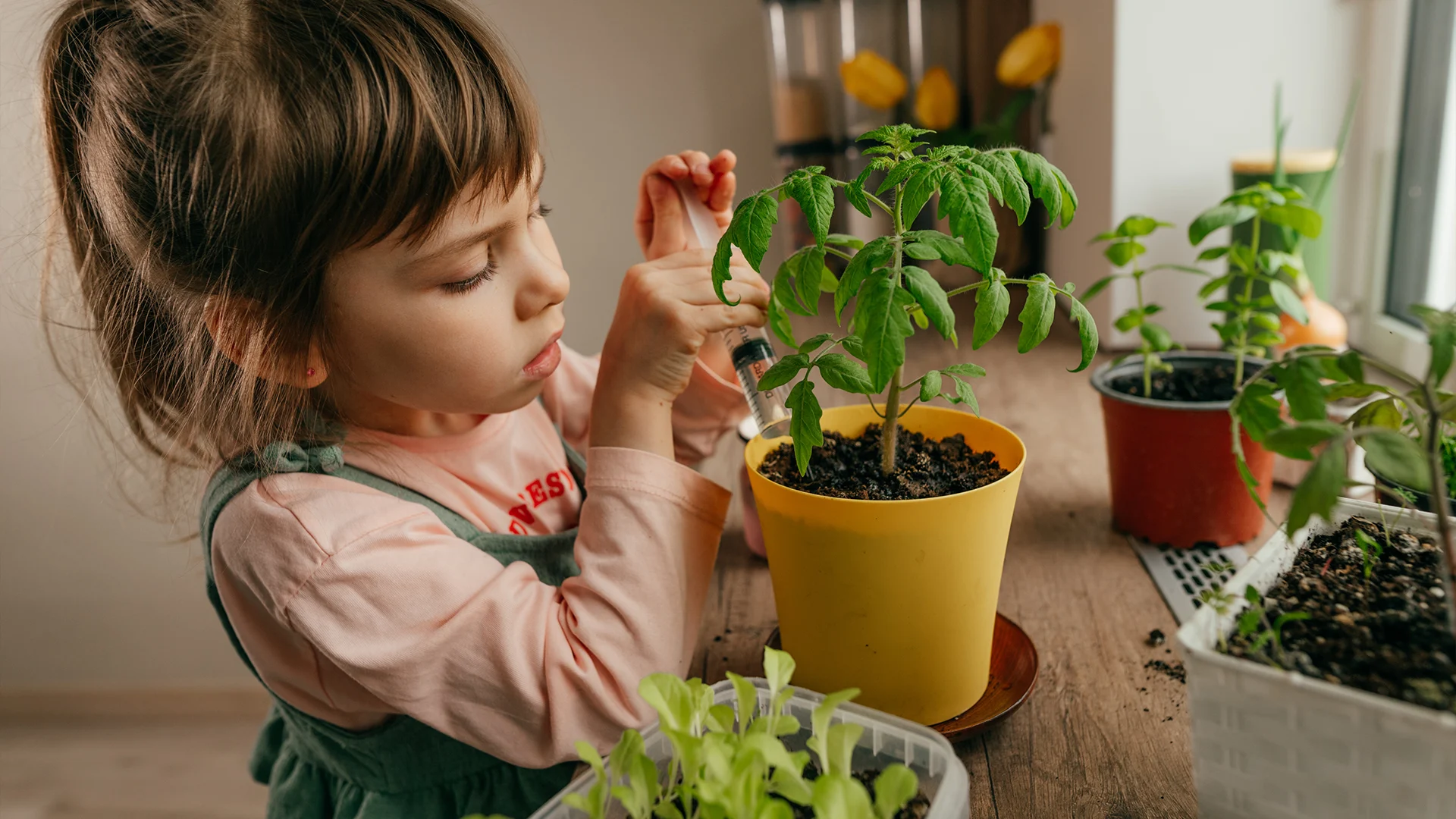 Monarca Montessori - Welcome